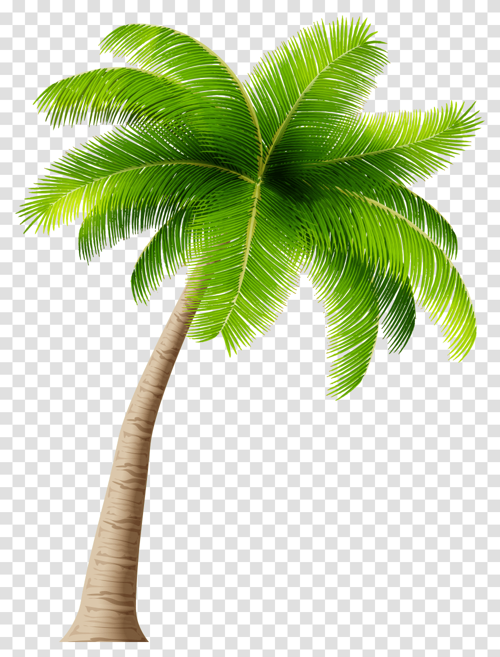 Detail Clipart Coconut Tree Nomer 18