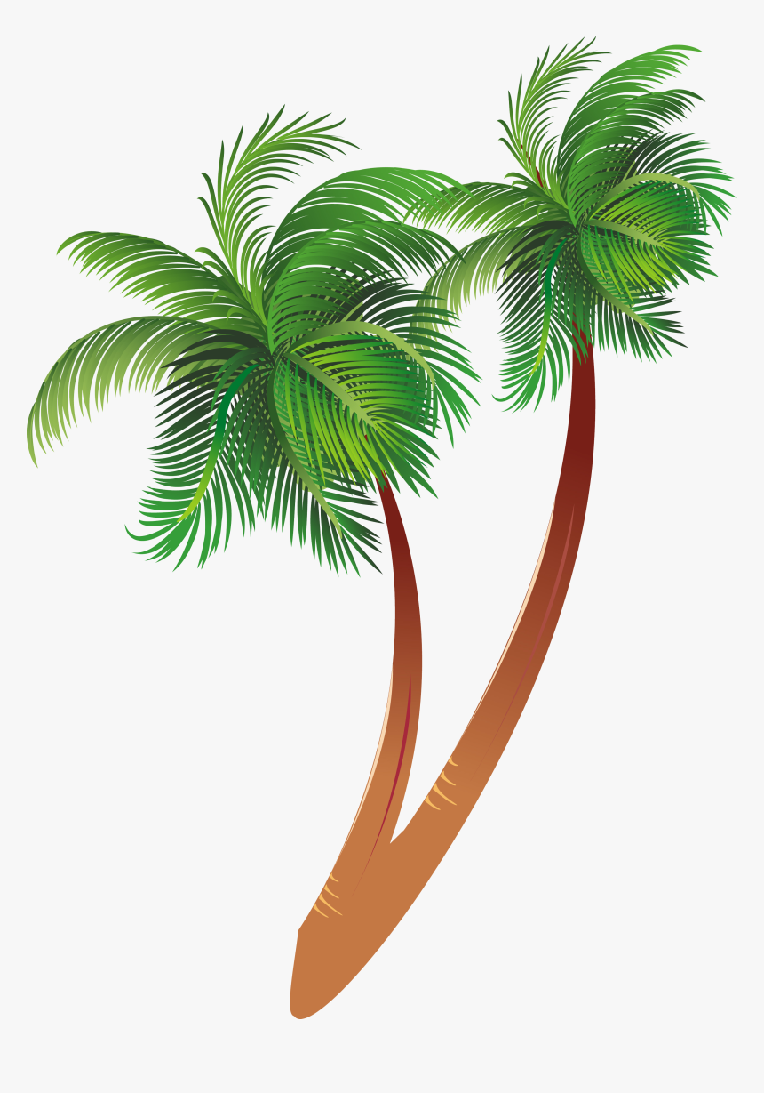 Detail Clipart Coconut Tree Nomer 20