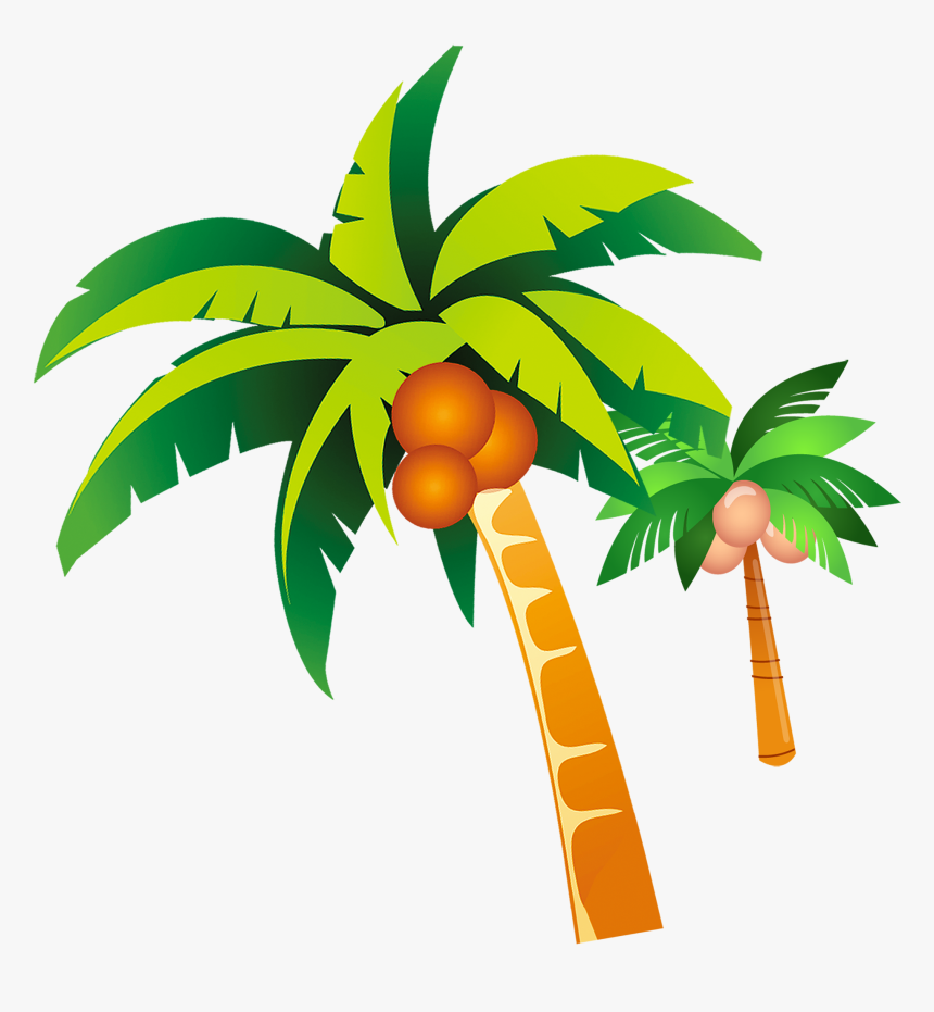 Detail Clipart Coconut Tree Nomer 22