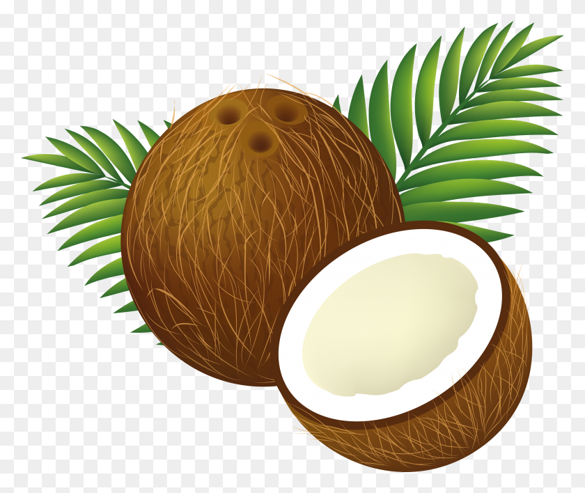 Detail Clipart Coconut Tree Nomer 41