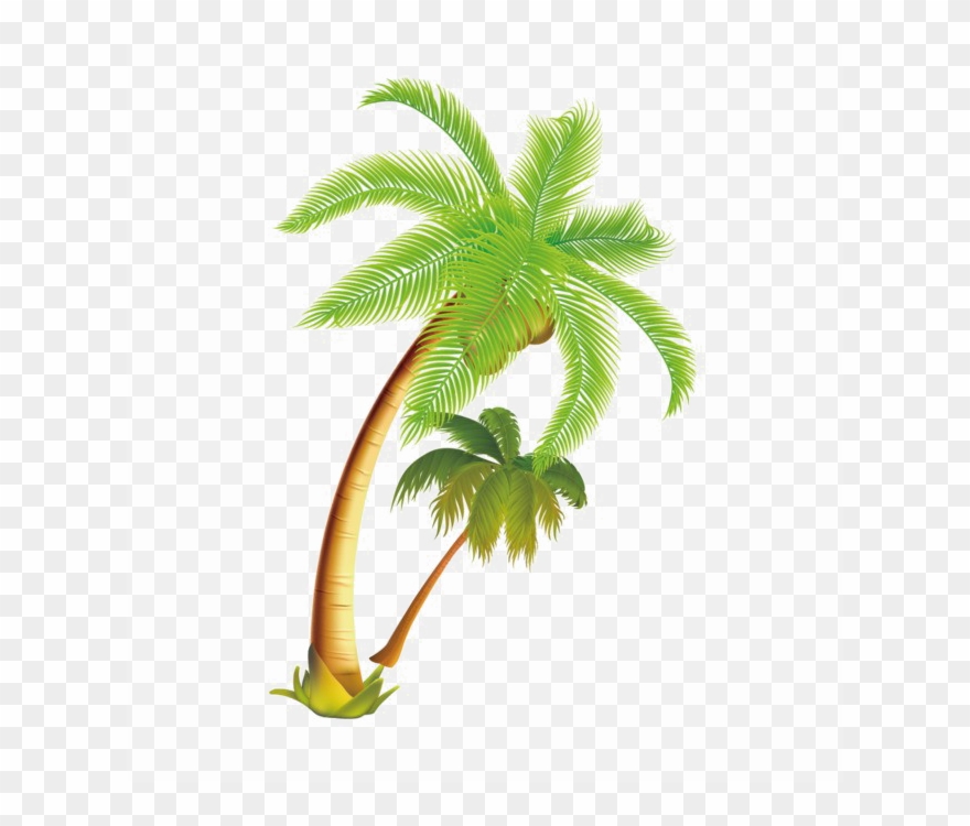 Detail Clipart Coconut Tree Nomer 46