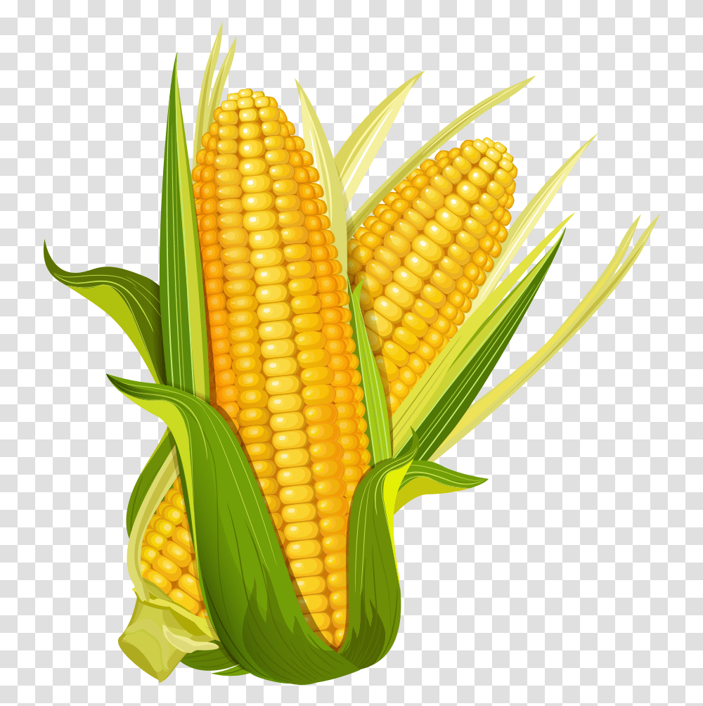 Detail Clipart Corn Nomer 31
