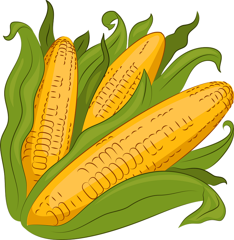 Detail Clipart Corn Nomer 32