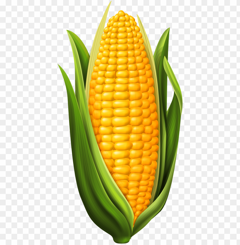 Detail Clipart Corn Nomer 5