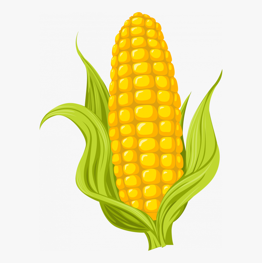 Detail Clipart Corn Nomer 6