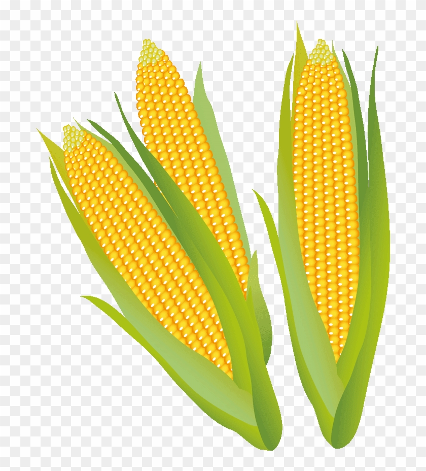 Detail Clipart Corn Nomer 49