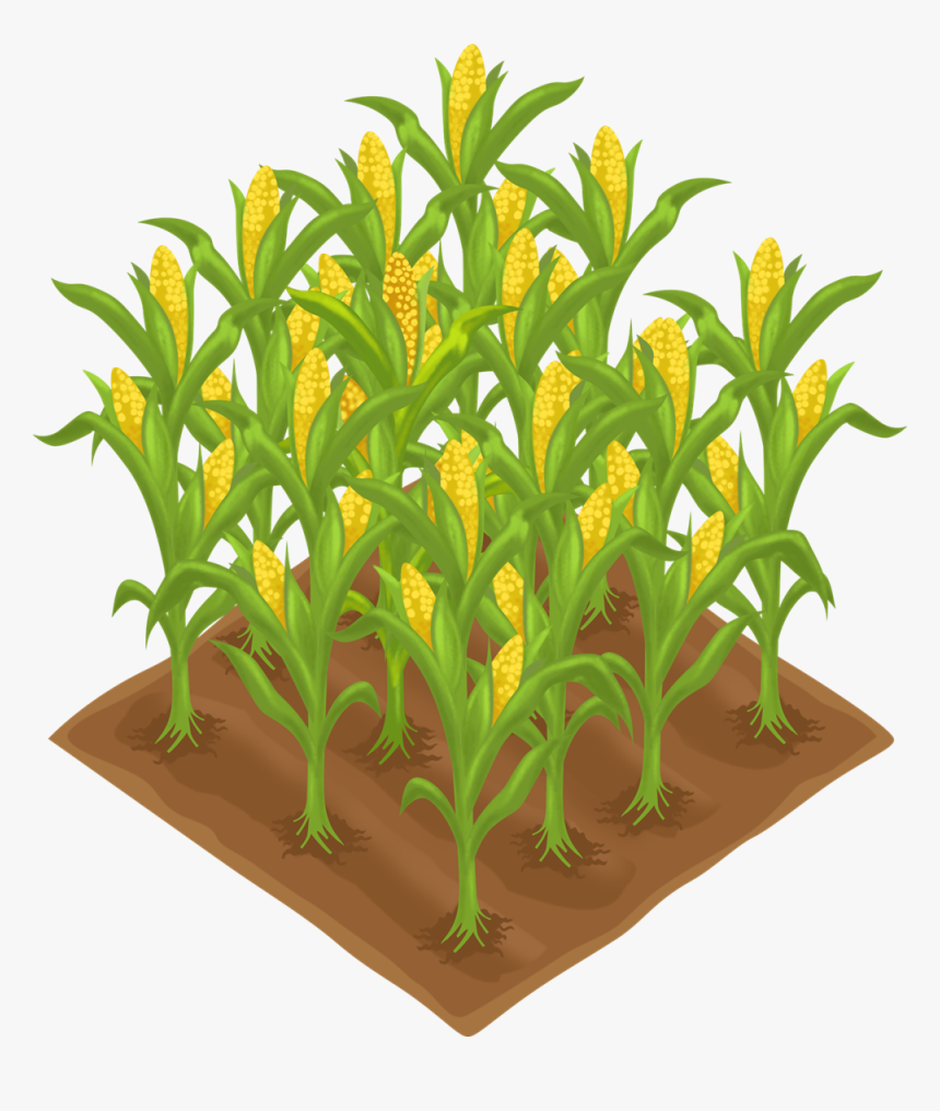 Detail Clipart Corn Nomer 50