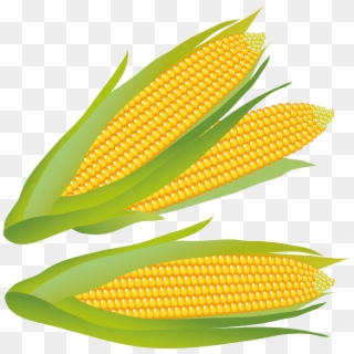 Detail Clipart Corn Nomer 55
