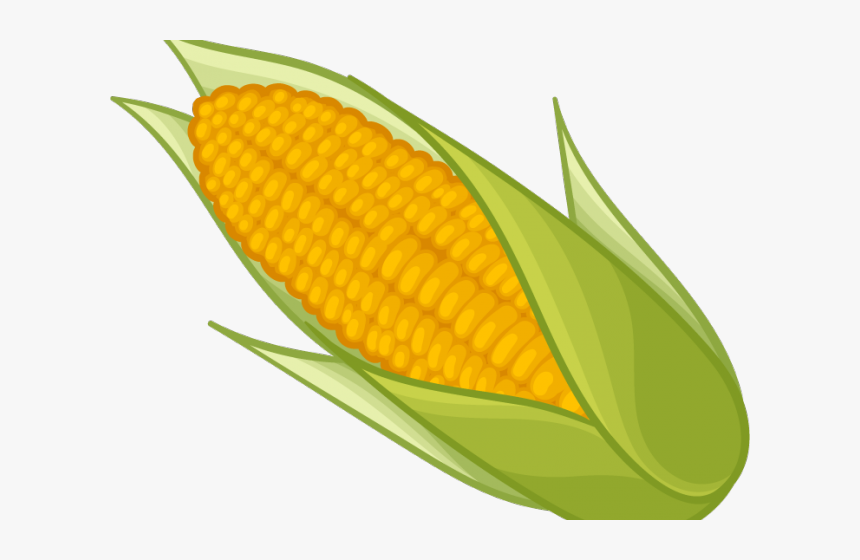 Detail Clipart Corn Nomer 8