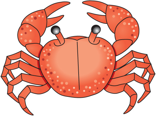 Detail Clipart Crab Nomer 10