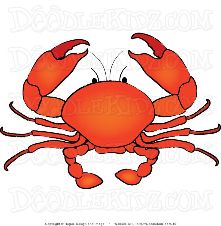 Detail Clipart Crab Nomer 2
