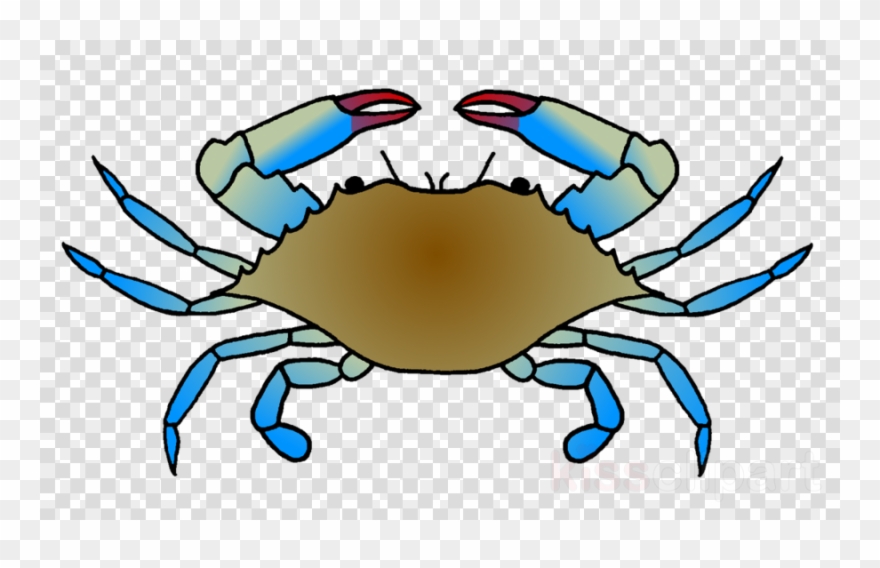 Detail Clipart Crab Nomer 22