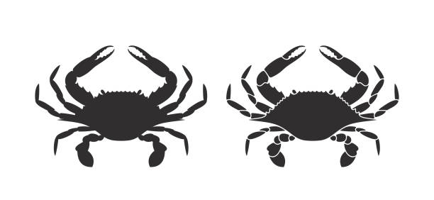 Detail Clipart Crab Nomer 43