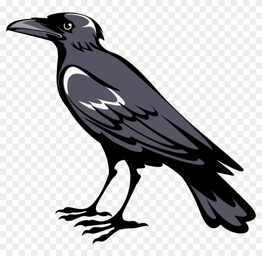 Detail Clipart Crow Nomer 11