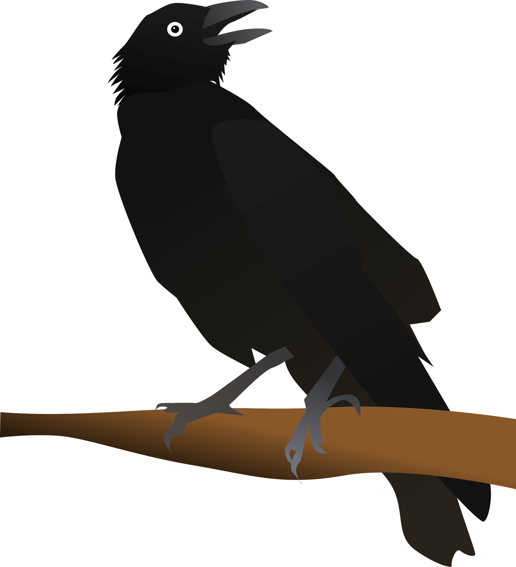 Detail Clipart Crow Nomer 13