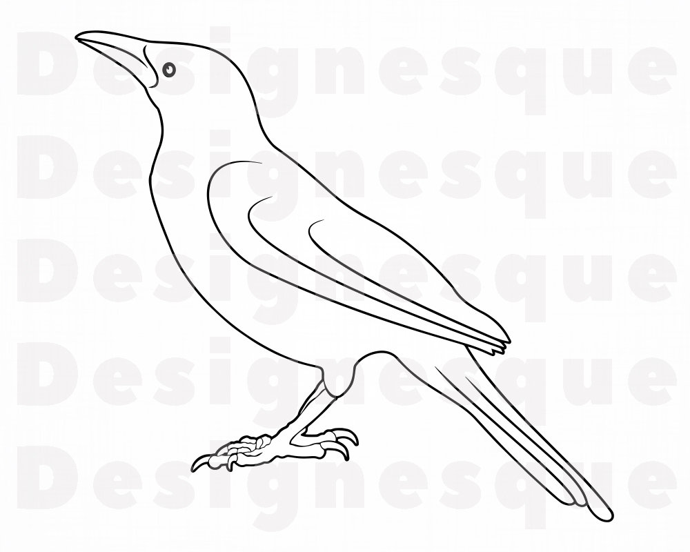 Detail Clipart Crow Nomer 23