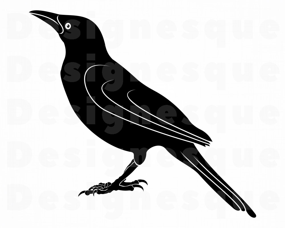 Detail Clipart Crow Nomer 49