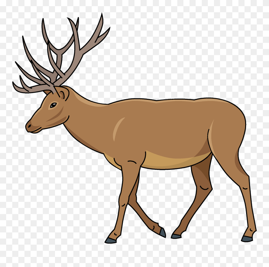 Detail Clipart Deer Nomer 11