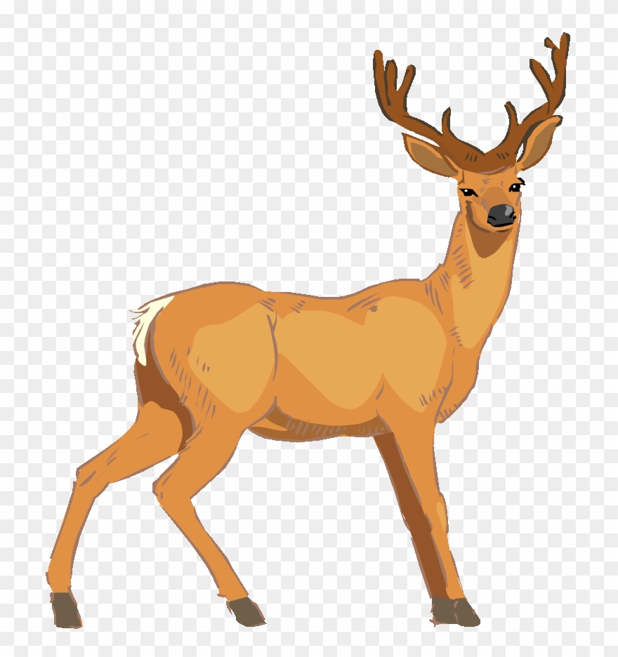 Detail Clipart Deer Nomer 13