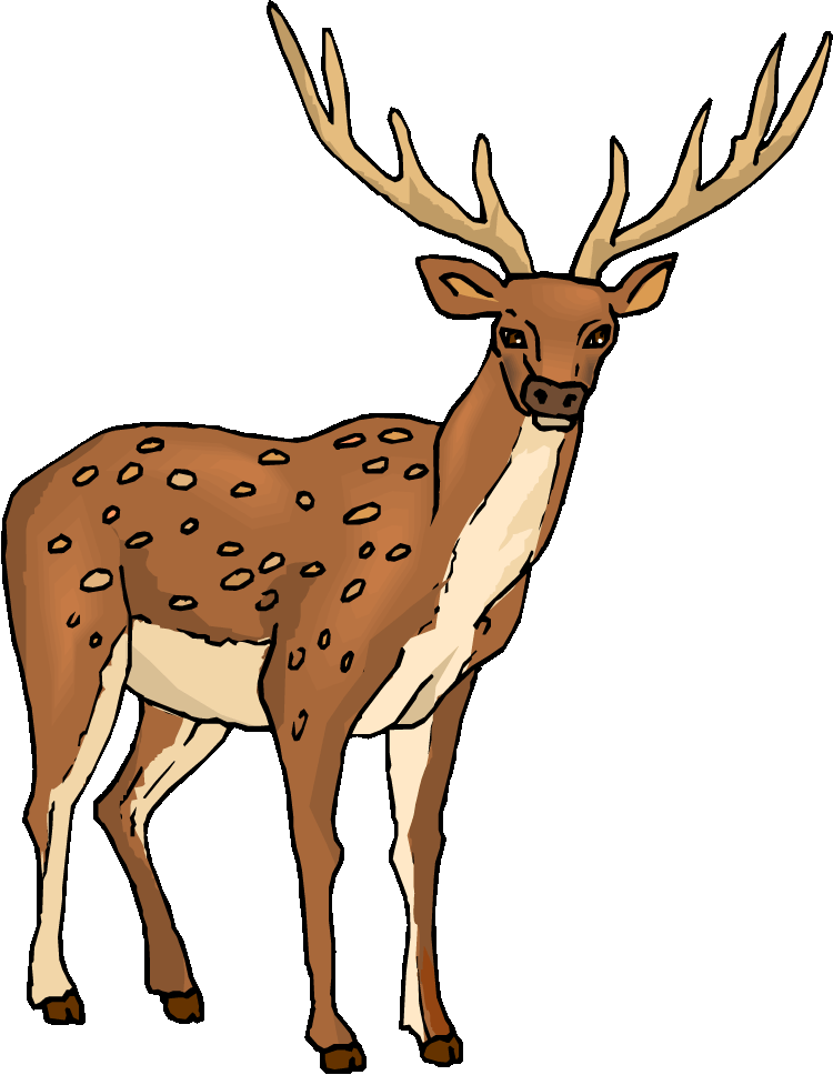 Detail Clipart Deer Nomer 16