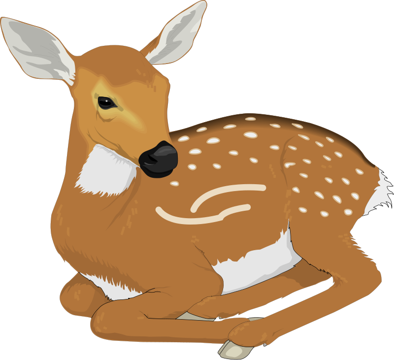 Detail Clipart Deer Nomer 32