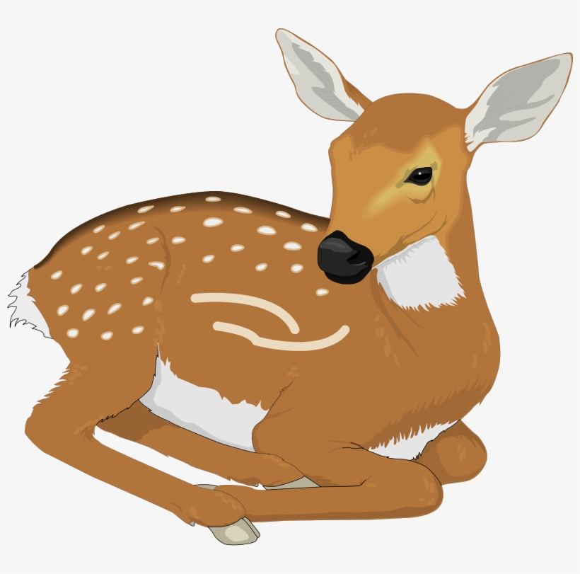 Detail Clipart Deer Nomer 33