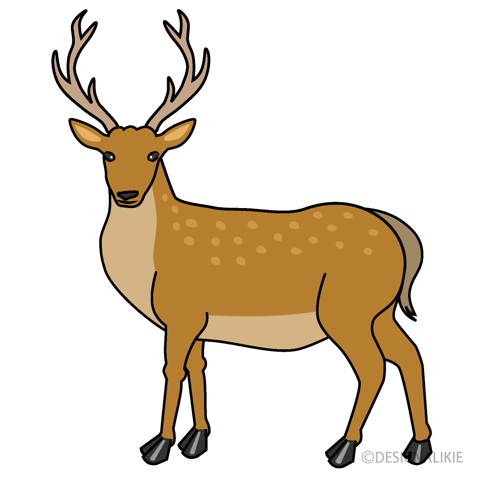 Detail Clipart Deer Nomer 4