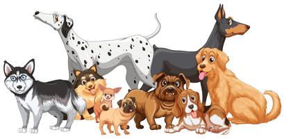 Detail Clipart Dog Nomer 44