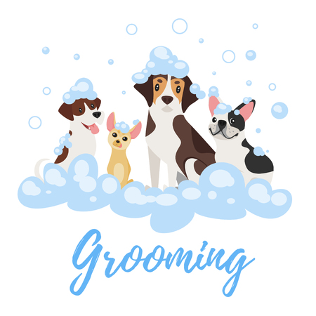 Detail Clipart Dog Bath Nomer 13