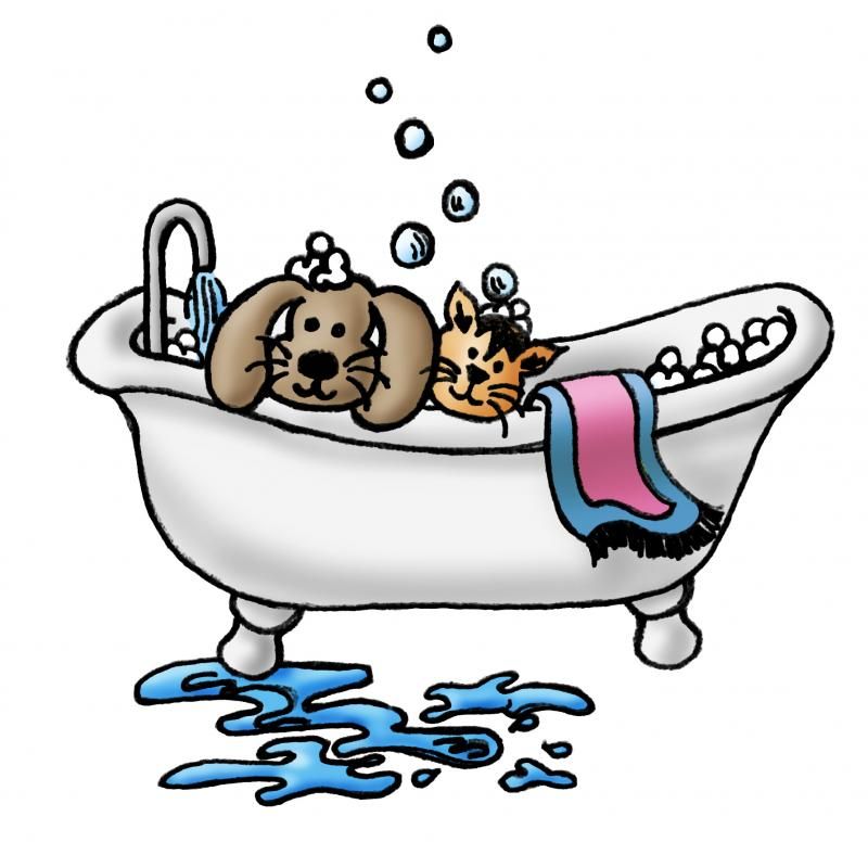 Detail Clipart Dog Bath Nomer 43