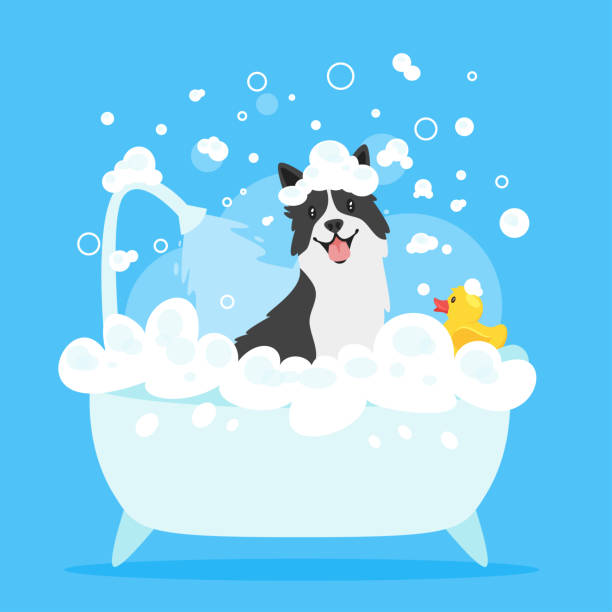 Detail Clipart Dog Bath Nomer 9