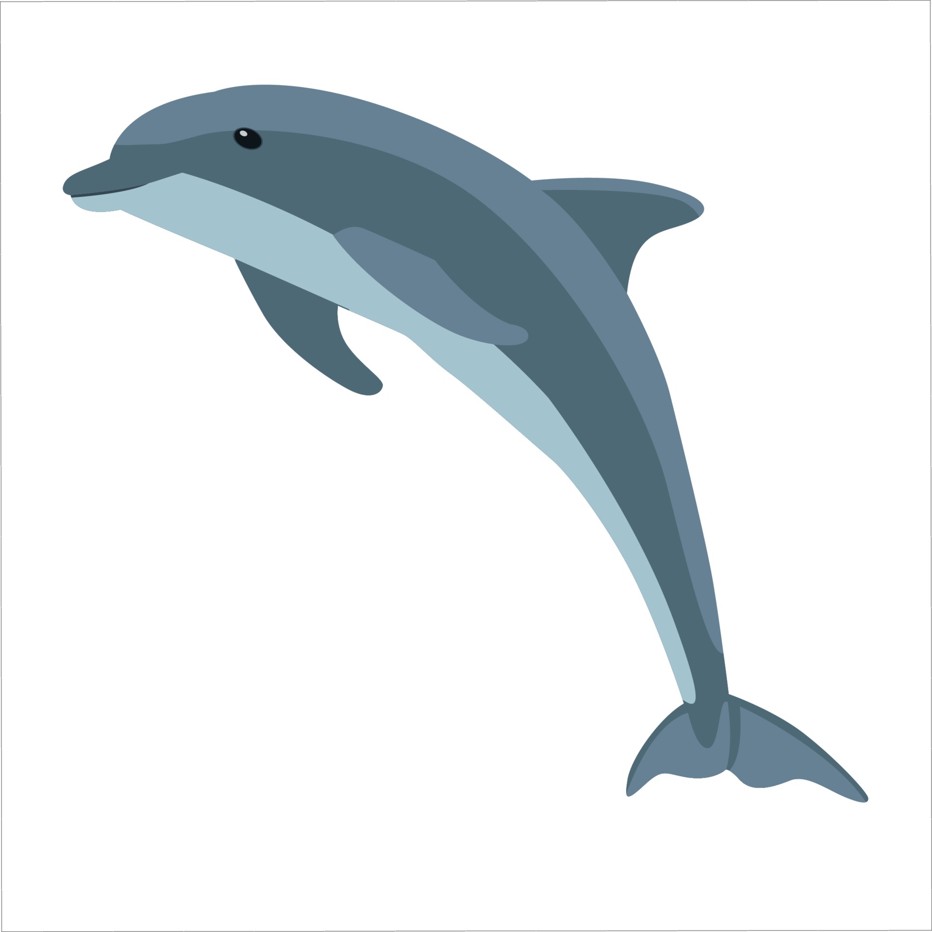 Detail Clipart Dolphin Nomer 15