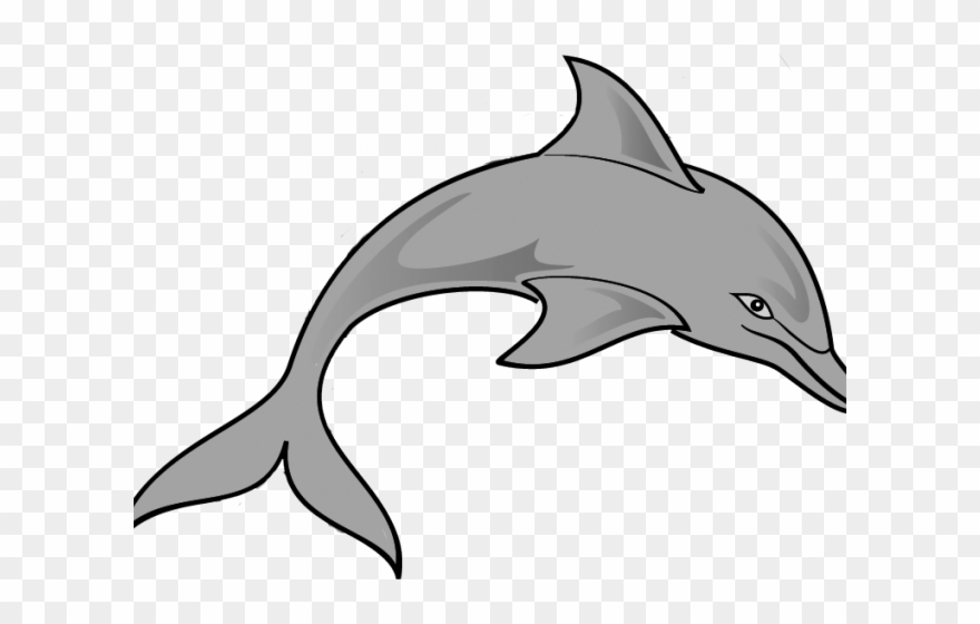 Detail Clipart Dolphin Nomer 39