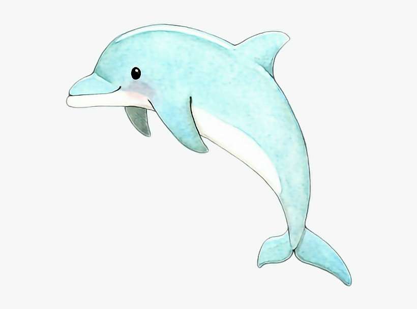 Detail Clipart Dolphin Nomer 46