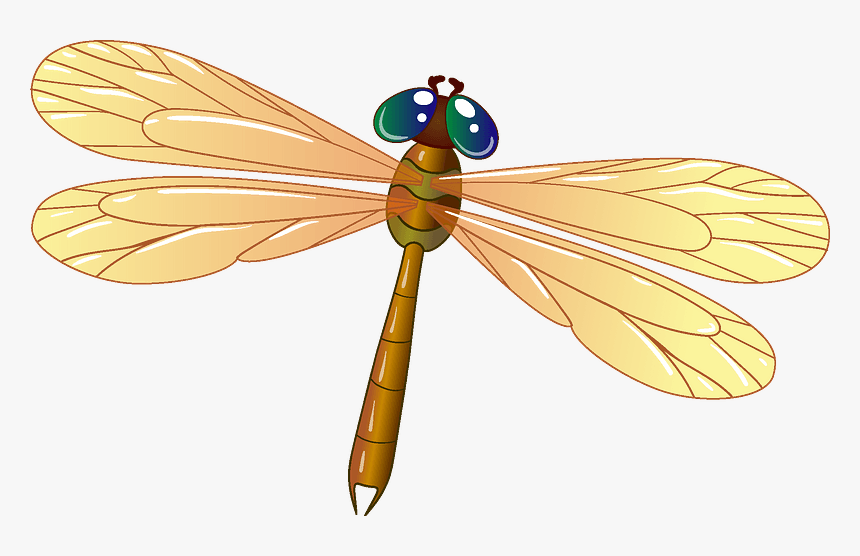 Detail Clipart Dragonflies Nomer 11