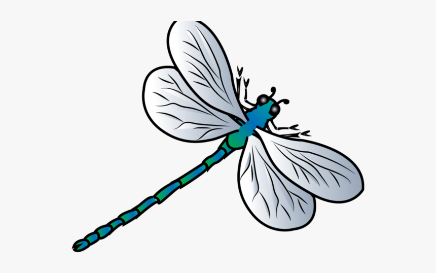 Detail Clipart Dragonflies Nomer 17