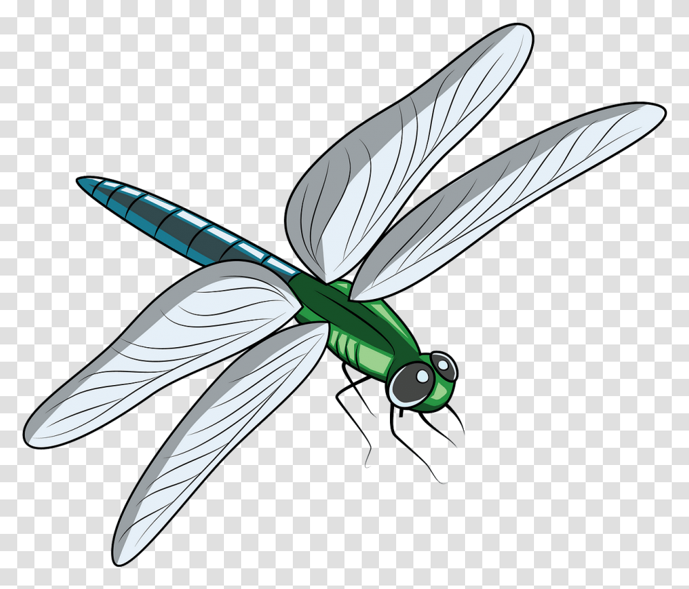 Detail Clipart Dragonflies Nomer 27