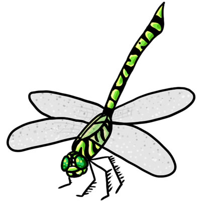 Detail Clipart Dragonflies Nomer 36
