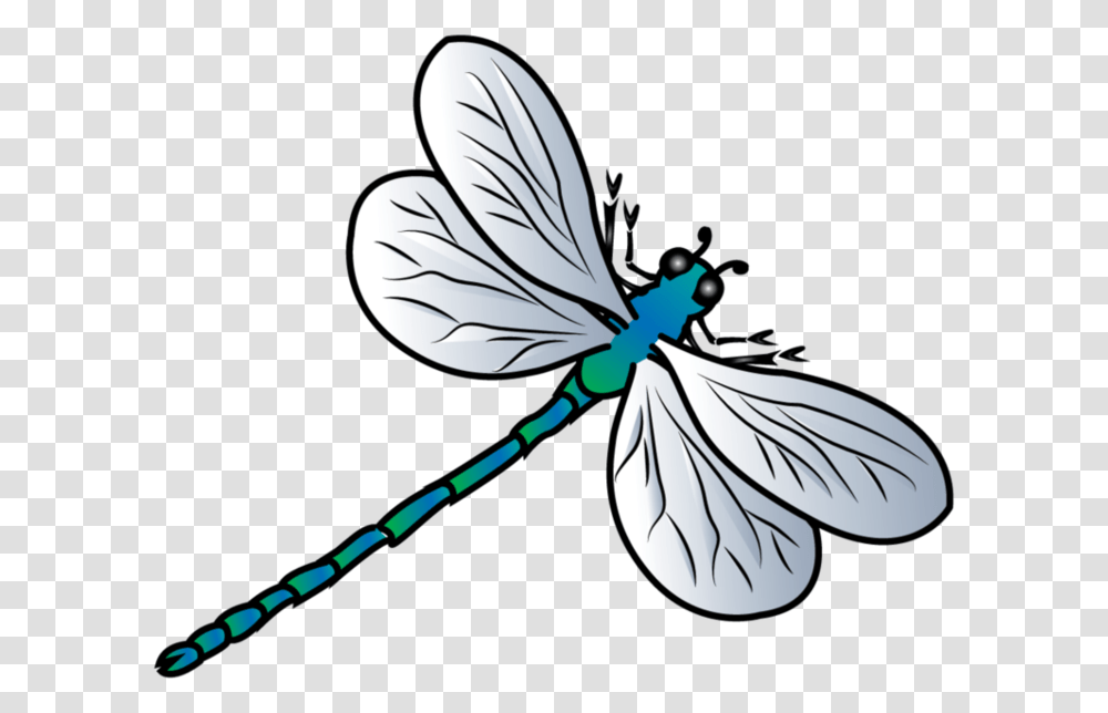 Detail Clipart Dragonfly Nomer 10