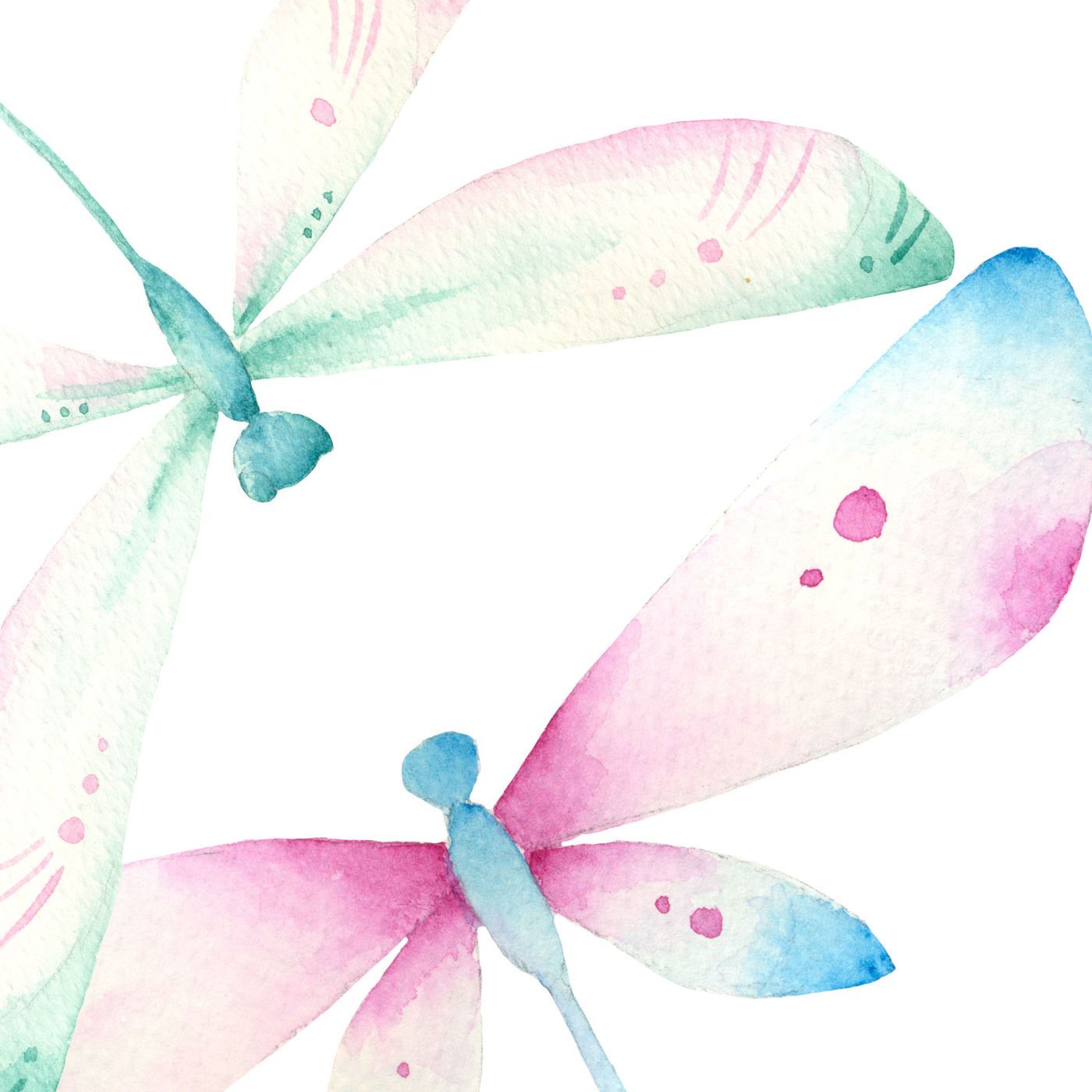 Detail Clipart Dragonfly Nomer 24