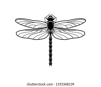 Detail Clipart Dragonfly Black And White Nomer 17