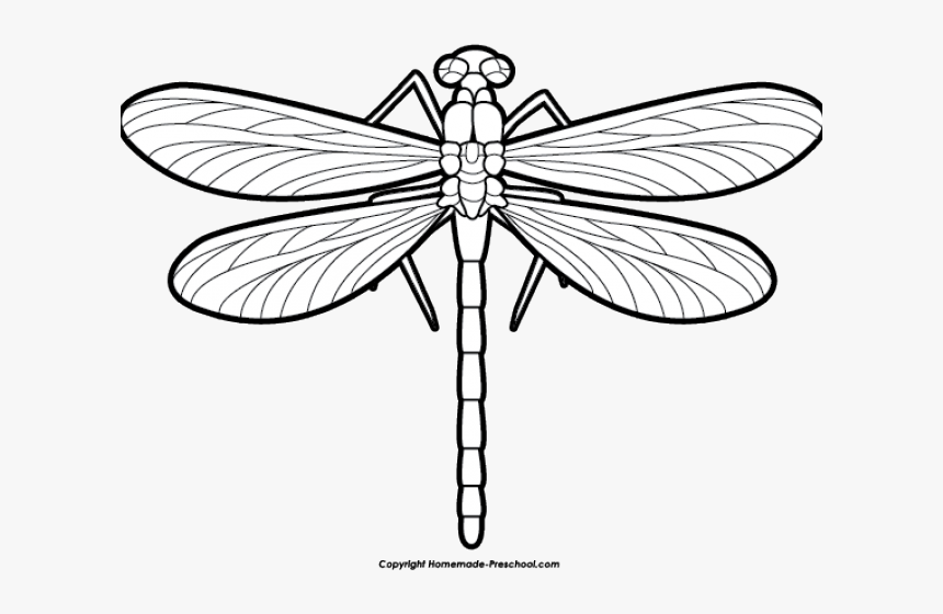 Detail Clipart Dragonfly Black And White Nomer 2