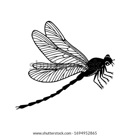 Detail Clipart Dragonfly Black And White Nomer 45