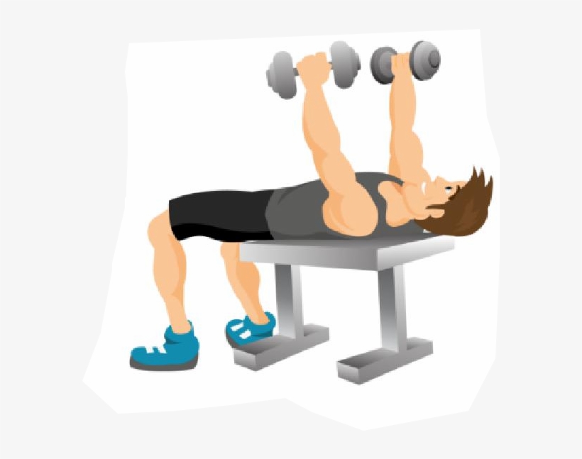 Detail Clipart Dumbbell Nomer 38