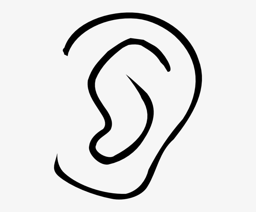 Detail Clipart Ear Nomer 25
