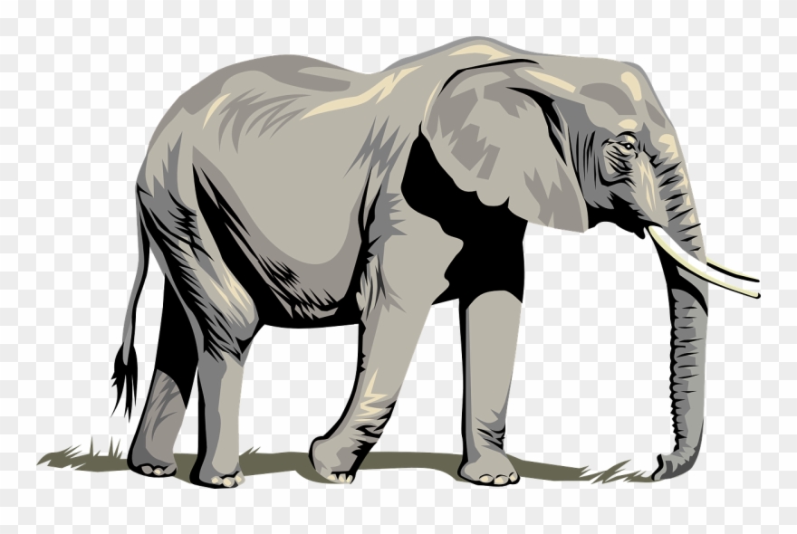 Detail Clipart Elephants Nomer 25