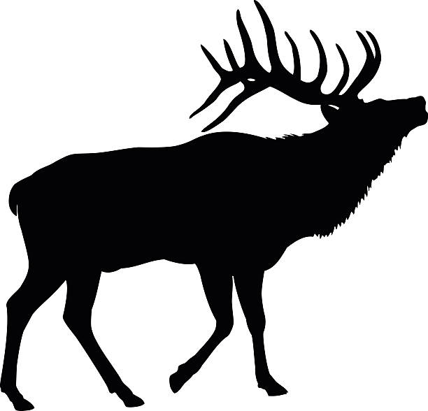 Detail Clipart Elk Nomer 13