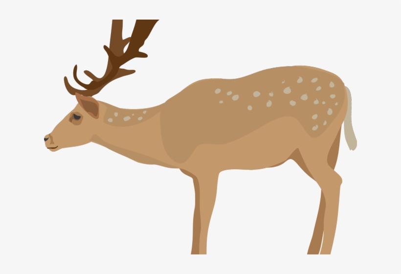 Detail Clipart Elk Nomer 30