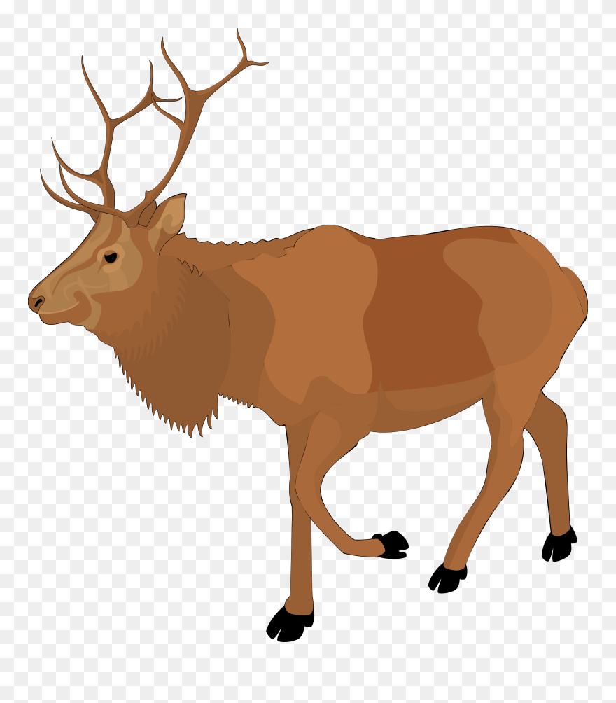 Download Clipart Elk Nomer 4