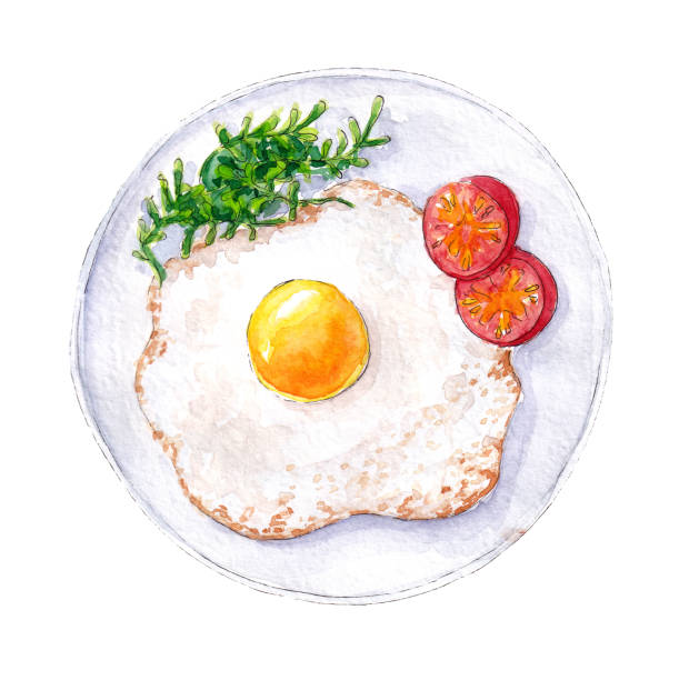 Detail Clipart Fried Egg Nomer 28